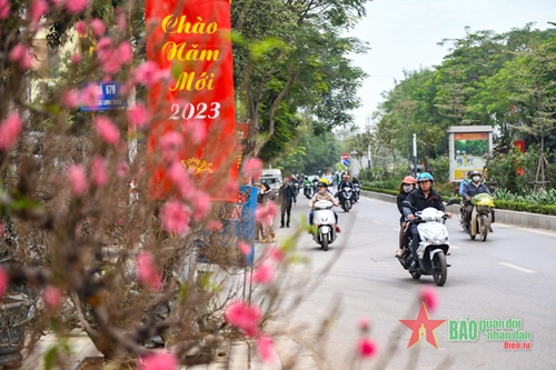 Sắc hoa Xuân đang tràn ngập phố phường Hà Nội